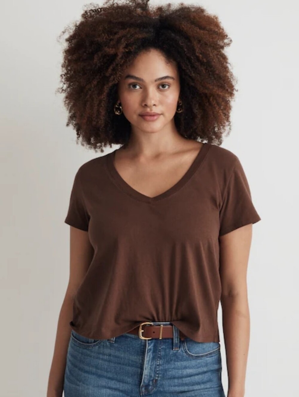 Madewell Softfade Cotton V-Neck Crop Tee in Brown